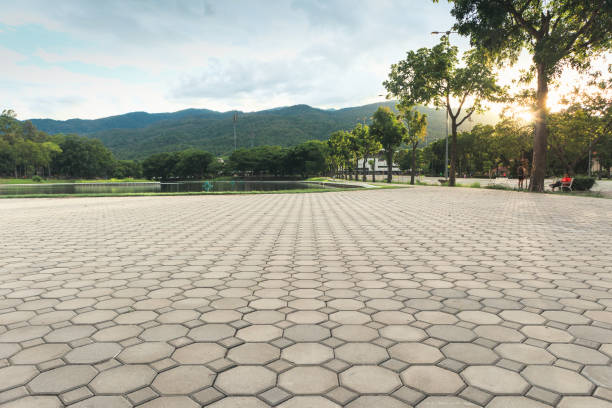 Best Custom Driveway Pavers  in Lake Mathews, CA